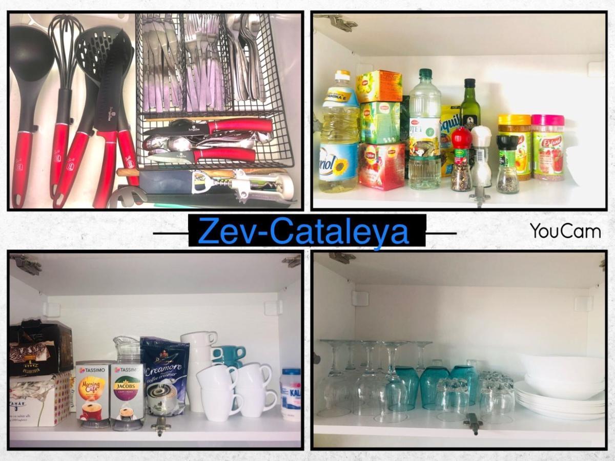 Апартаменты Zev- Cataleya Mamaia Nord Нэводари Экстерьер фото